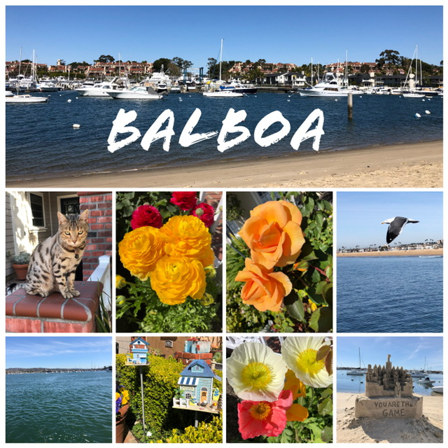 My Artist Loft Balboa Island, Ferry & Pier Photo Field Trip