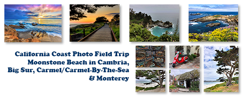 My Artist Loft California Coast Photo Field Trip