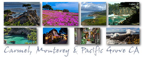 My Artist Loft Carmel, Monterey & Pacific Grove Weekend Watercolor & Ink Travel Journal & Photography Workshop