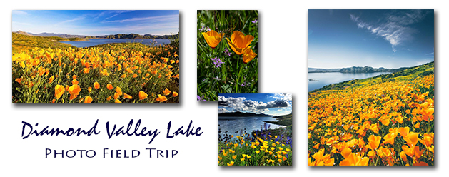 My Artist Loft Diamond Valley Lake Photo Field Trip