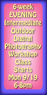 My Artist Loft 6wk Digital Photography Intermediate Workshop