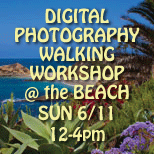 My Artist Loft Digital Photography Walking Workshop at the Beach