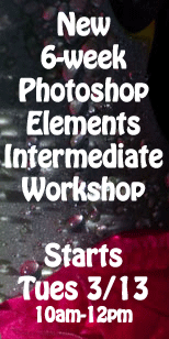 My Artist Loft 6-week Intermediate Adobe Photoshop Elements Workshop