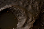 My Artist Loft Fine Art Photograph #MAL1008 by Mary Gulino