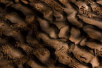 My Artist Loft Fine Art Photograph #MAL1009 by Mary Gulino