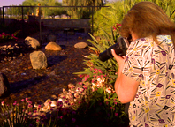 My Artist Loft One-on-One Personal Digital Photography Lessons