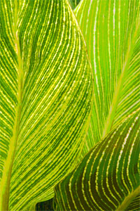 My Artist Loft Outdoor Digital Photography Workshop in Laguna Beach