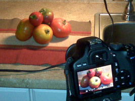 My Artist Loft Beginning Digital Photography Workshop