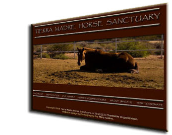 Tierra Madre Horse Sanctuary Website